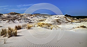 Dojemný duny 
